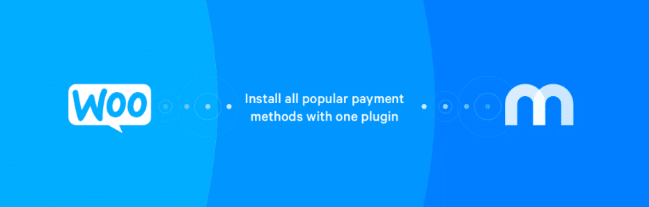 WooCommerce payment gateway