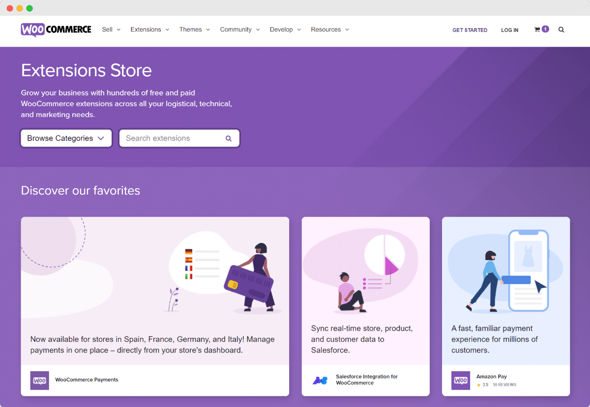 WooCommerce Pricing: Is It Really FREE or How Much Does Online Store Cost? 2 WooCommerce Pricing